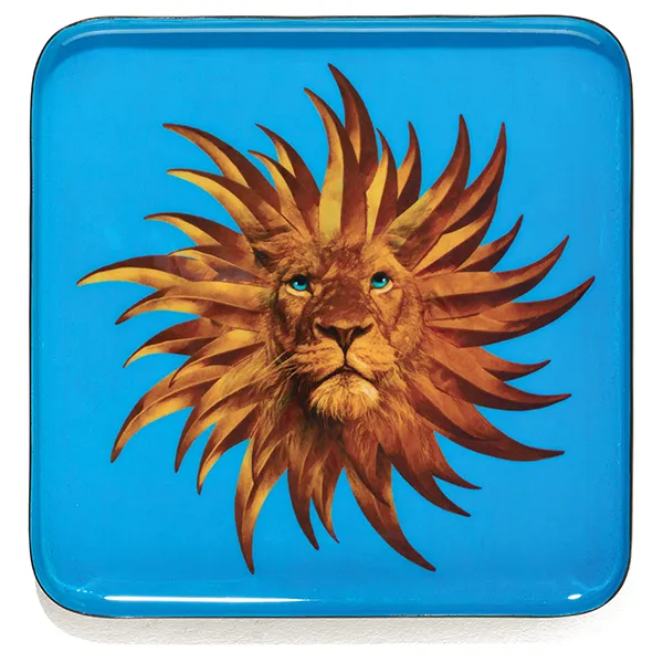 Gangzaï Curiosito Solarking GD647 svuotatasche quadrato