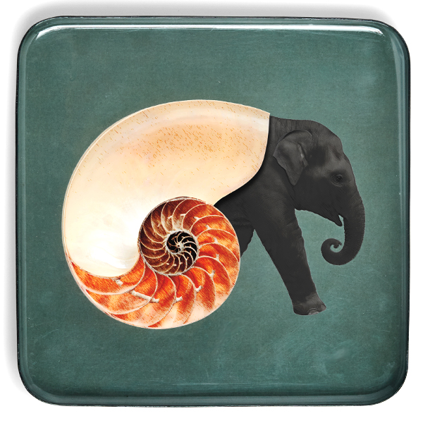 Gangzaï Curiosito Shellephant GD381 svuotatasche quadrato