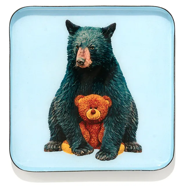 Gangzaï Curiosito GD673 svuotatasche quadrato Teddy