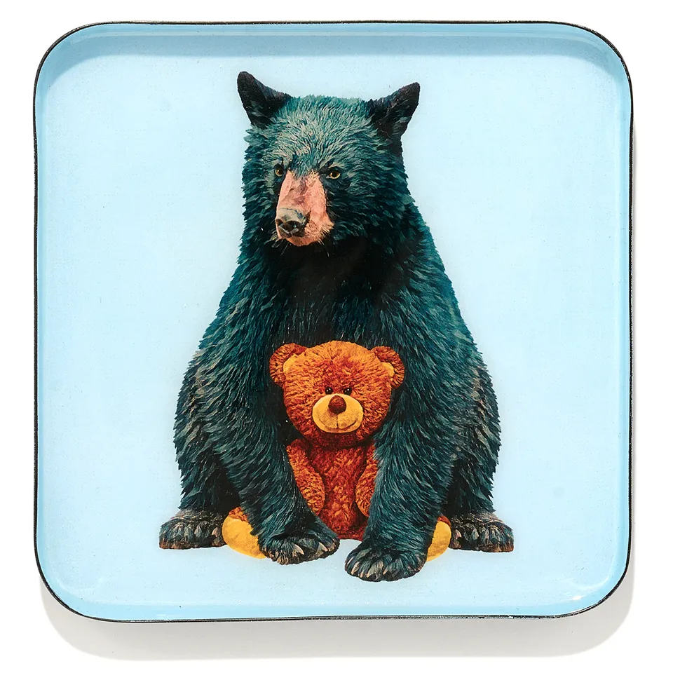 Gangzaï Curiosito GD673 svuotatasche quadrato Teddy