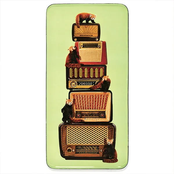 Gangzaï Curiosito Jazzy GD704 vassoio rettangolare tavola