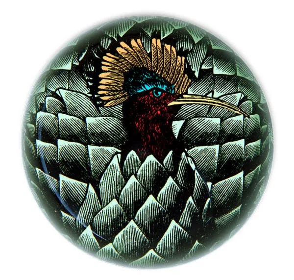 Gangzaï Safari Safarinka GD248 fermacarte