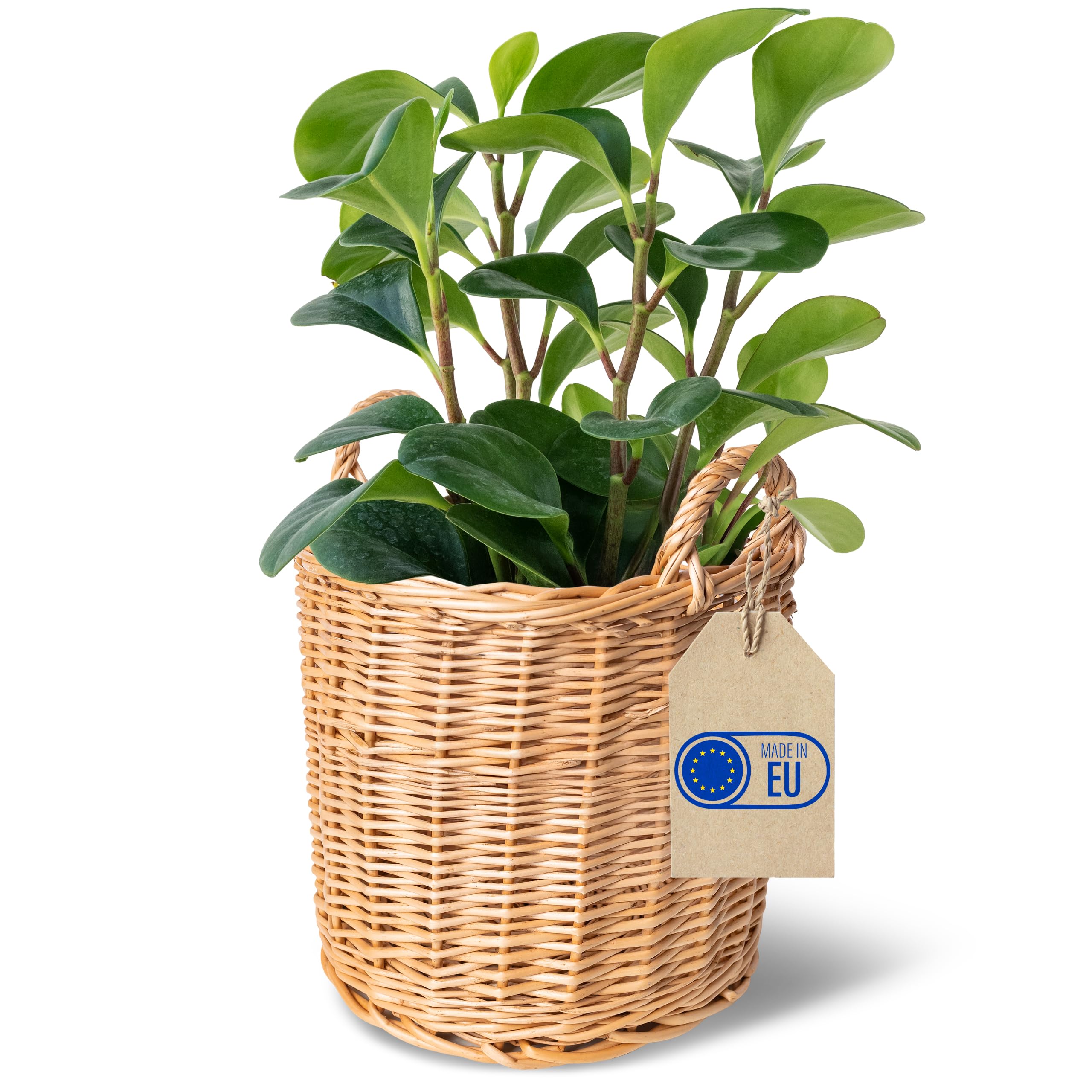Creative Home Cesto Vimini Chiaro 26x26x30 cm con Manici