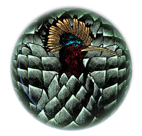 Gangzaï Safari Safarinka GD248 fermacarte
