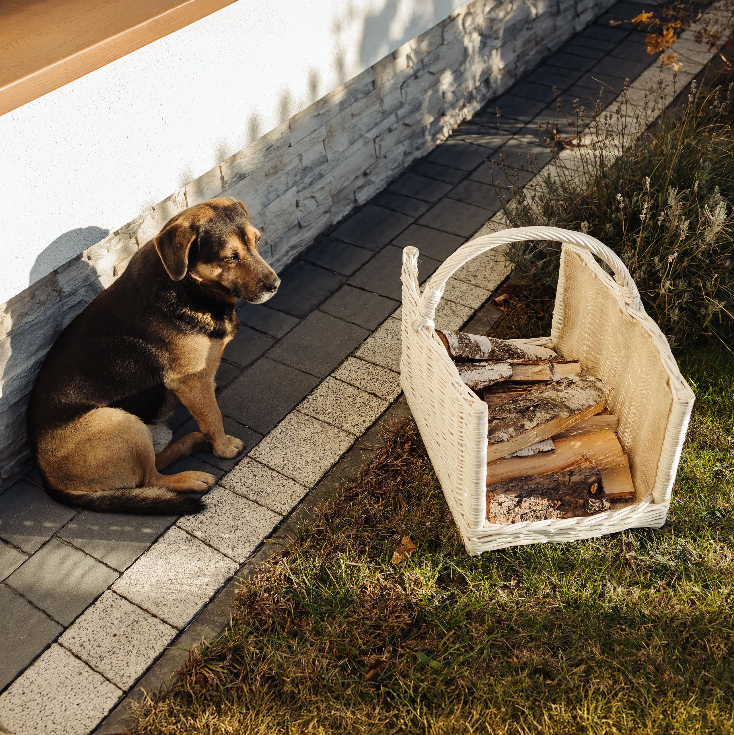Creative Home Cesto Portalegna Vimini Bianco 50x34x50 cm