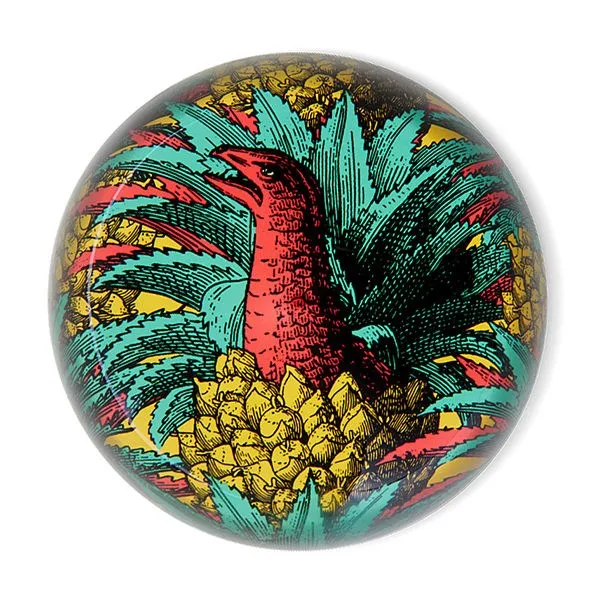 Gangzaï Safari Anananosaure GD245 fermacarte ananas