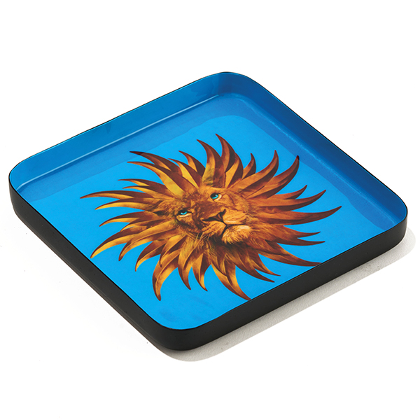 Gangzaï Curiosito Solarking GD647 svuotatasche quadrato