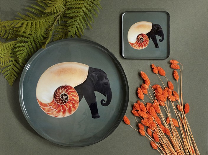 Gangzaï Curiosito Shellephant GD381 svuotatasche quadrato