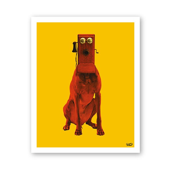 Gangzaï Curiosito Dogallo GD407 poster da parete