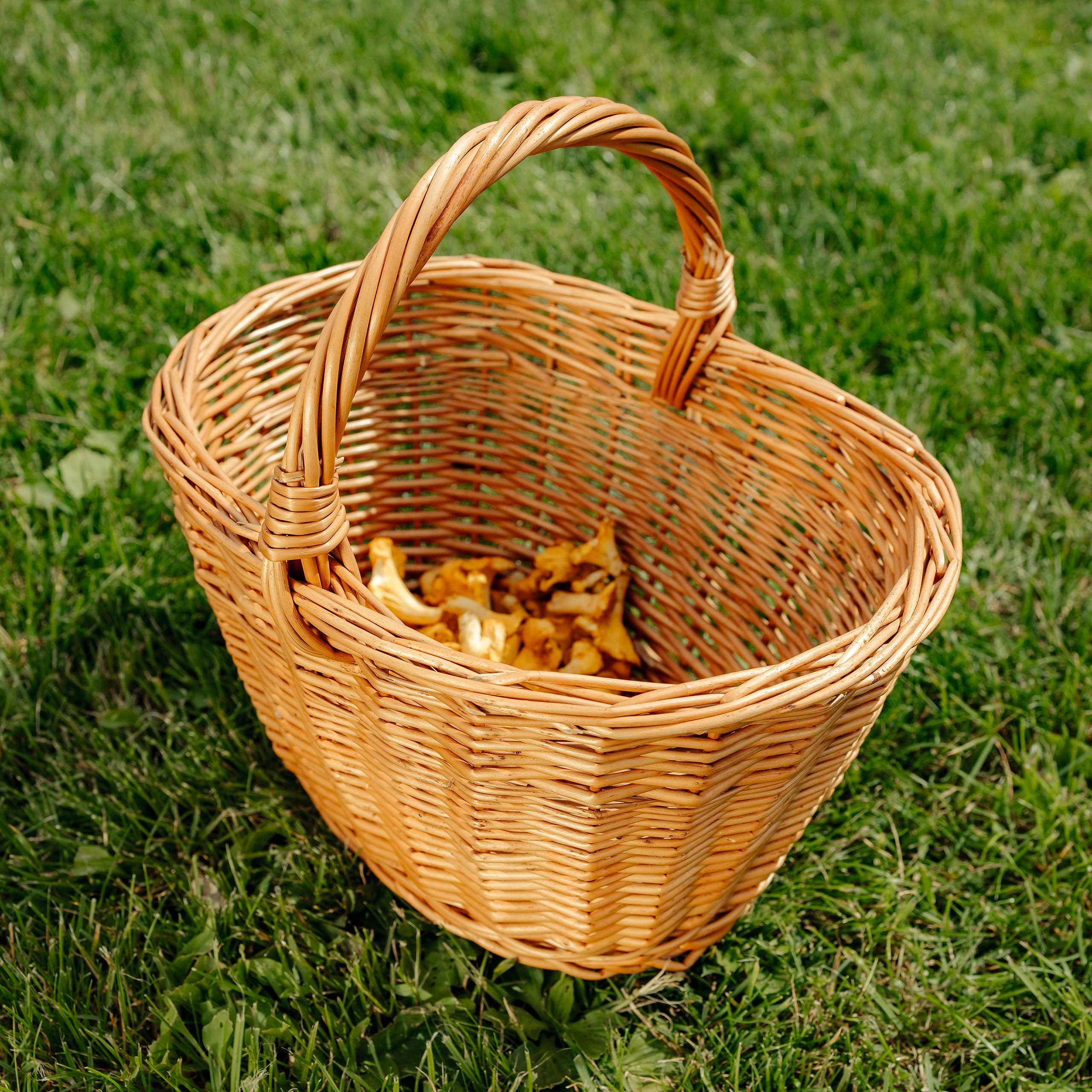Creative Home Cesto Vimini Chiaro 32x24x29 cm con Manico