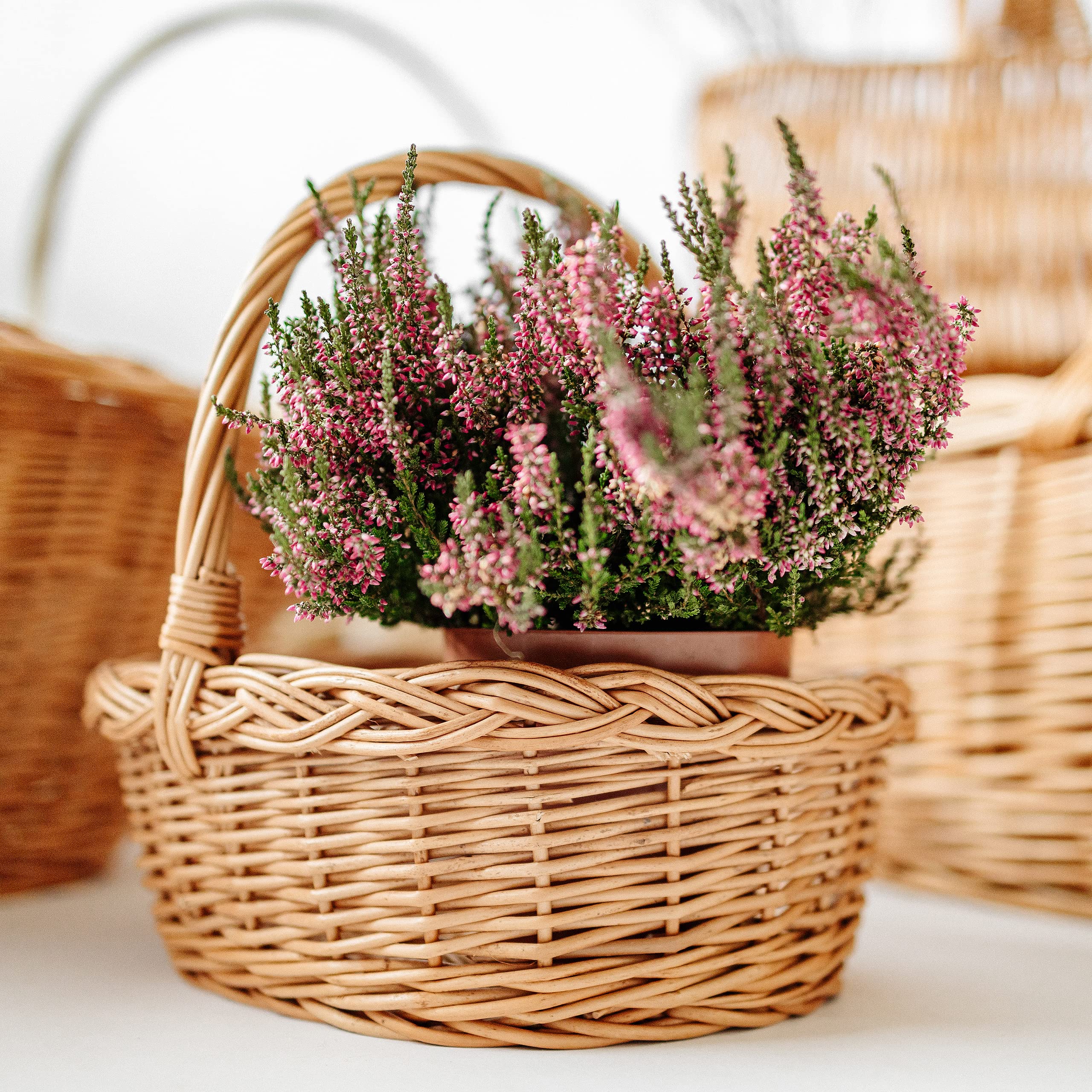 Creative Home Cestino Vimini Manico 30x27x24 cm Naturale