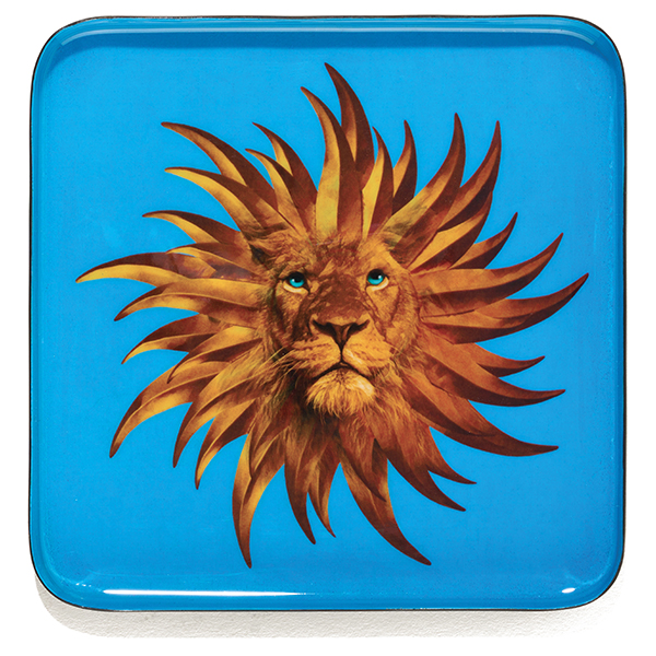 Gangzaï Curiosito Solarking GD647 svuotatasche quadrato