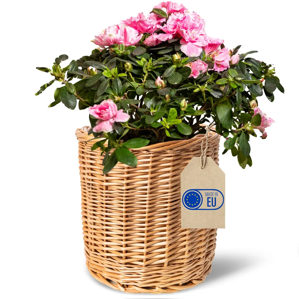 Creative Home Cesto in Vimini 21x21x21 cm Coprivaso Marrone