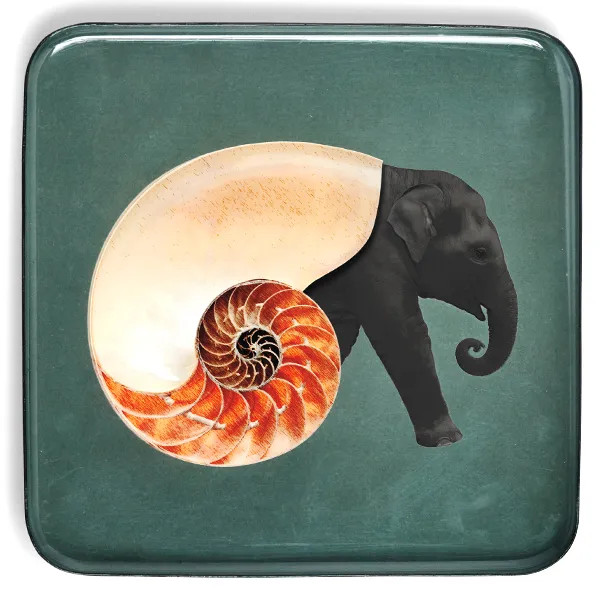 Gangzaï Curiosito Shellephant GD381 svuotatasche quadrato
