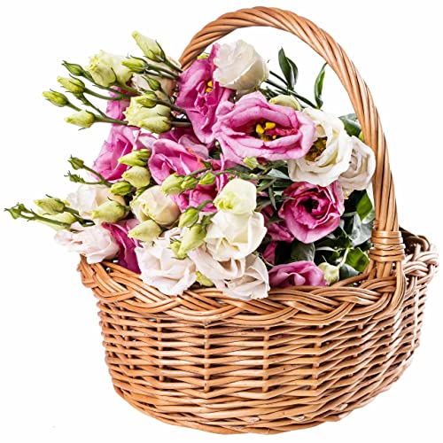 Creative Home Cestino Vimini Manico 30x27x24 cm Piccolo