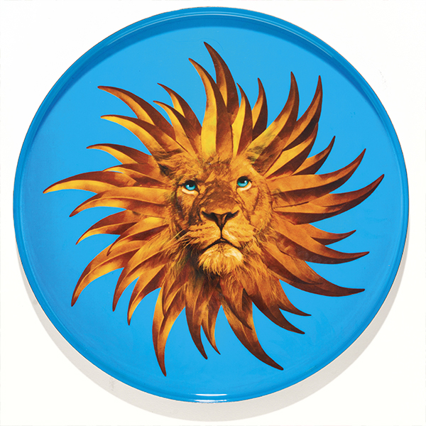 Gangzaï Solarking GD646 vassoio rotondo per tavola