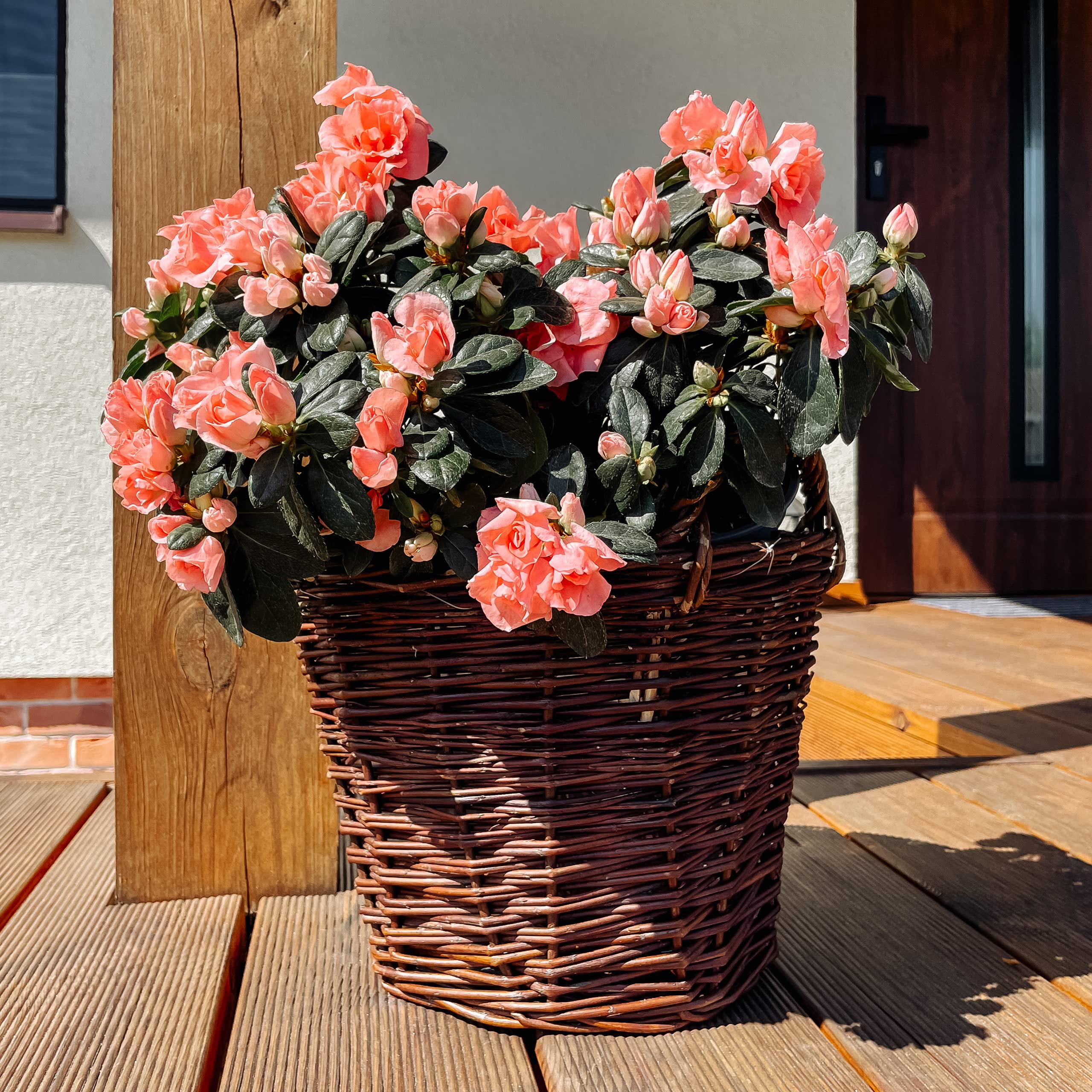 Creative Home Vaso Fiori Vimini Scuro 30x30x30 cm con Foglio