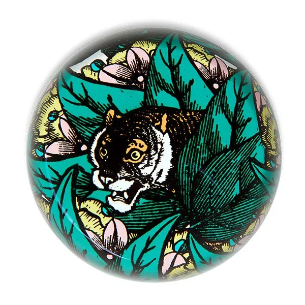 Gangzaï Safari Artiger GD244 fermacarte