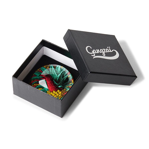 Gangzaï Safari Anananosaure GD245 fermacarte ananas