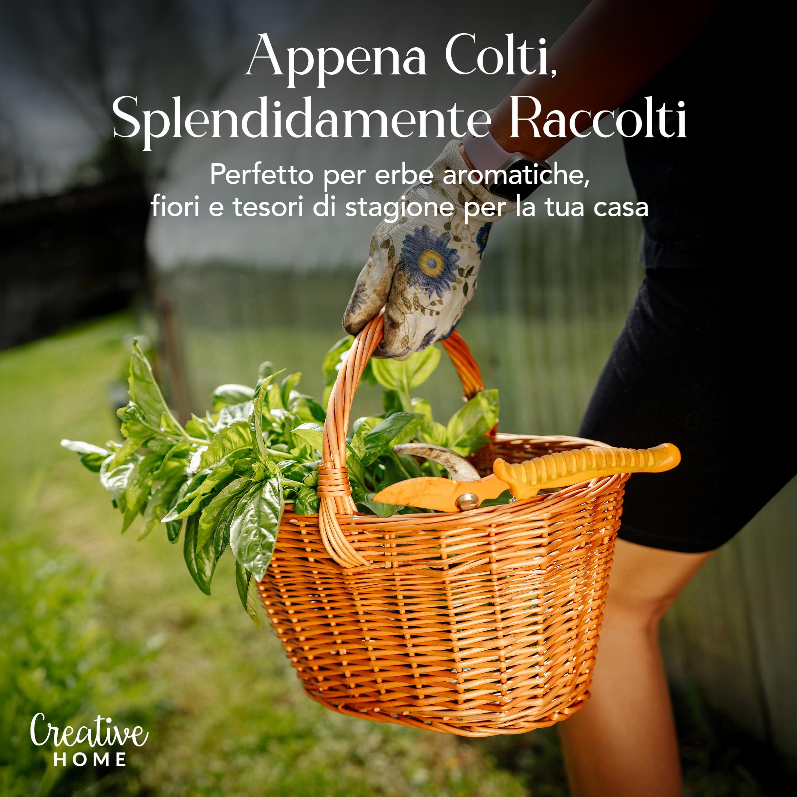 Creative Home Cesto Vimini Chiaro 32x24x29 cm con Manico